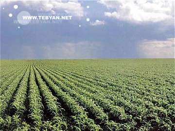 تصاويري زيبا و ديدني از کشور ايالات متحده آمريکا